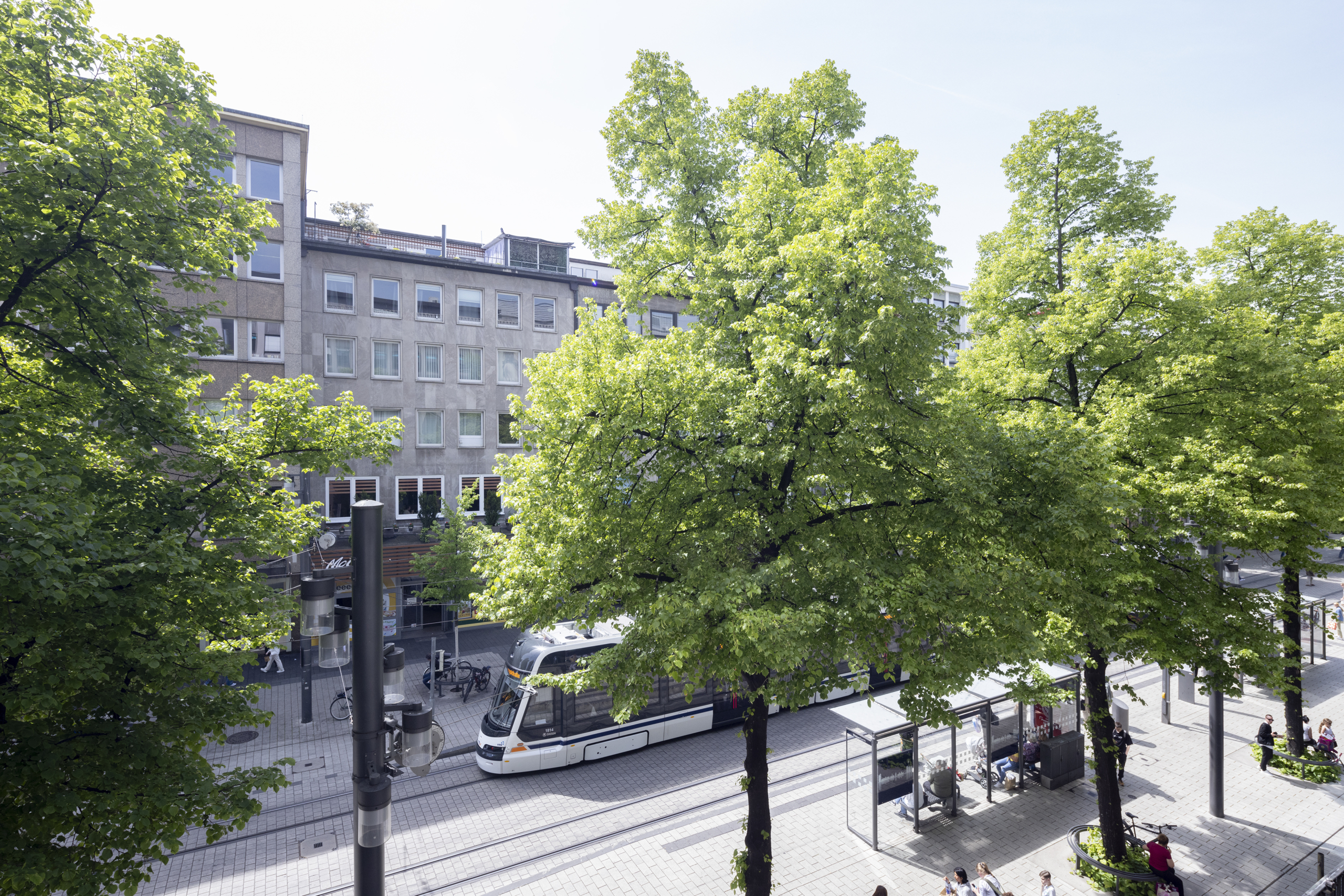 RICH_Ausblick auf Planken RICH_Ausblick auf Planken